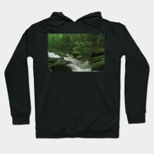 Roaring Fork River Flowing Through The Great Smoky Mountains National Park Hoodie